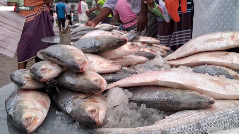 মিরকাদিমে ইলিশের ঝিলিক, দামও চড়া